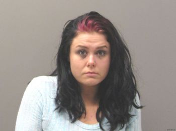 Megan Renae Johnson Mugshot