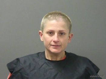 Megan  Robinson Mugshot