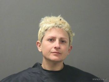 Megan  Robinson Mugshot