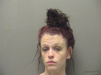 Megan Marie Roche Mugshot