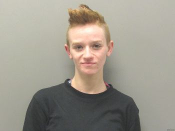 Megan Sharee Taylor Mugshot