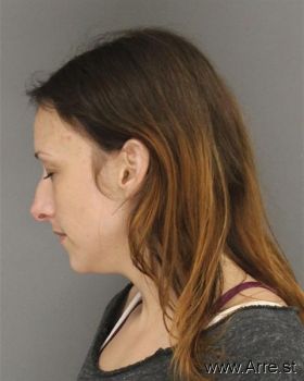 Megan  Williams Mugshot