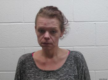 Meghan Ashley Tadlock Mugshot