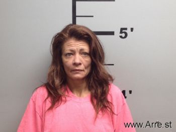 Melissa Sue Fields Mugshot