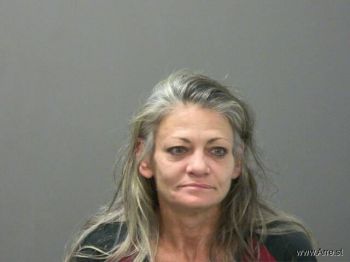 Melissa  Fields Mugshot