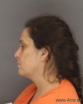 Melissa K Hall Mugshot