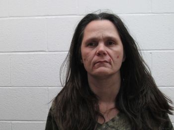 Melissa Raye Haynes Mugshot