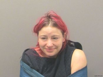 Melissa Ashley Metcalf Mugshot