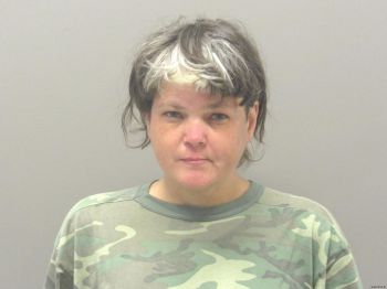 Melody Lynn Wang Mugshot