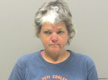 Melody Lynn Wang Mugshot