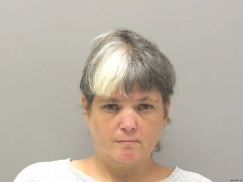 Melody Lynn Wang Mugshot