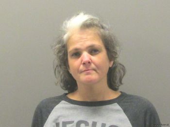 Melody Lynn Wang Mugshot