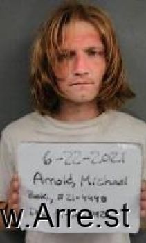 Michael Lance Arnold Mugshot