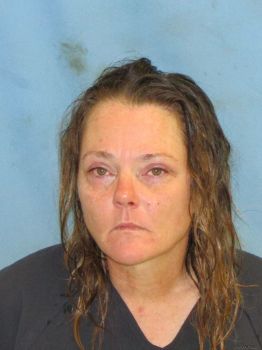 Michelle Lee Hayes Mugshot