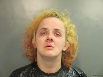 Michelle  Holloway Mugshot