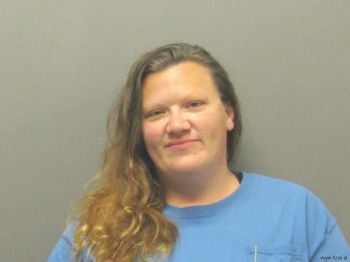 Michelle Leann Stine Mugshot