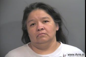 Michelle  Vincent Mugshot