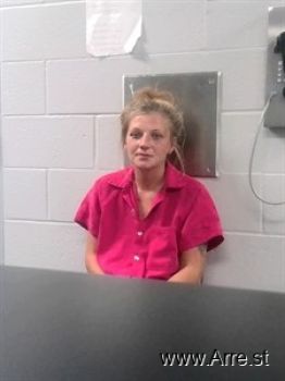 Michelle Lee Williams Mugshot