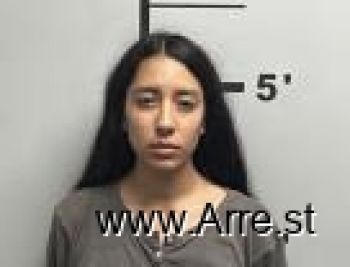 Nancy Guadalupe Jorge Mugshot