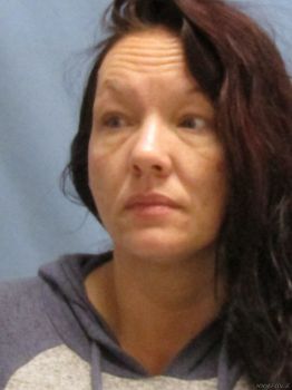 Nicole Fay Williams Mugshot