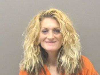 Nicole Dianne Williams Mugshot