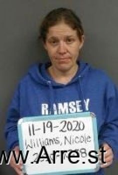 Nicole Renee Williams Mugshot