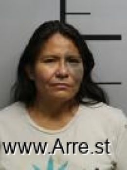 Patricia Anne Gonzales Mugshot