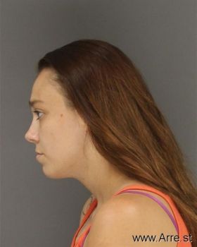 Pamela Jo Brown Mugshot