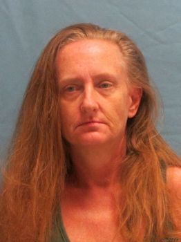 Pamela Ann Miller Mugshot