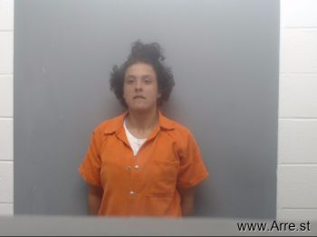 Patrice Somer Hopkins Mugshot