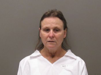 Patricia Ann Clanton Mugshot