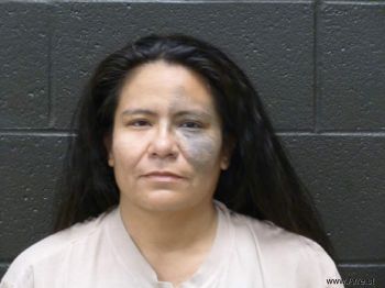 Patricia Anne Gonzales Mugshot