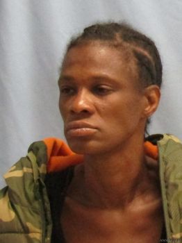 Patricia  Wilson Mugshot