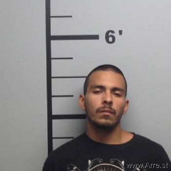 Pedro Junior Garcia Mugshot