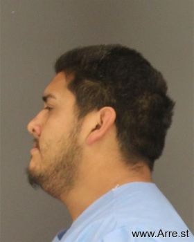 Raul Junior Martinez Mugshot