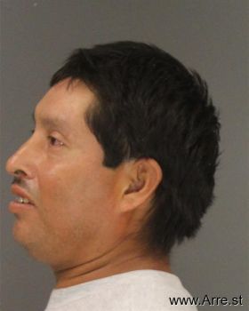 Rene  Gonzalez Mugshot