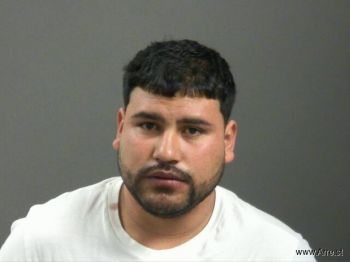 Ricardo  Hernandez-gonzalez Mugshot