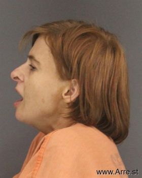 Robyn Christina Johnson Mugshot