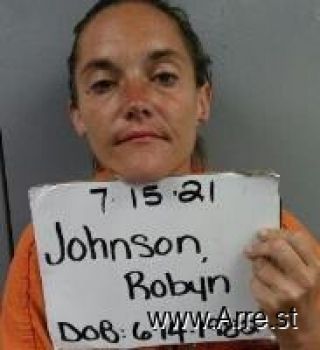 Robyn Lee Johnson Mugshot