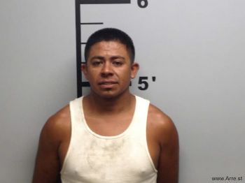 Rogelio  Beltran-perez Mugshot