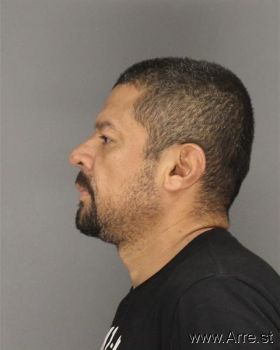 Rogelio  Palomino Mugshot