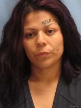 Rosa Yasmin Rios Mugshot