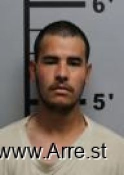 Santos Esteban Lopez-artiaga Mugshot