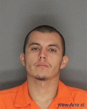 Salvador  Mejia-martinez Mugshot