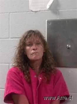 Sandra Leann Mcmanis Mugshot