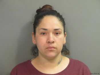 Sandra  Sanchez-perez Mugshot