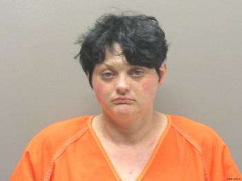 Sara Marie Hayes Mugshot