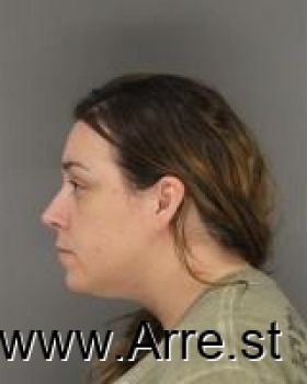 Sarah Jean Johnson Mugshot