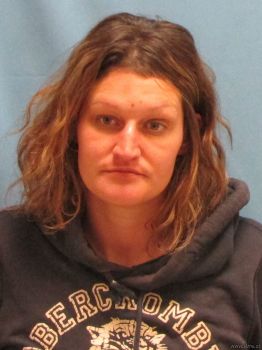 Sarah Elizabeth Wiley Mugshot