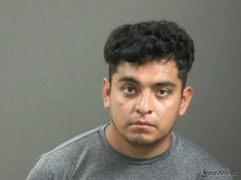 Sergio  Hernandez Mugshot